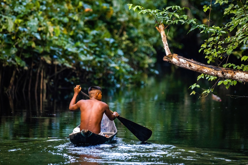 Native tribal man rowing in Amazonia rainforest in handmade boat