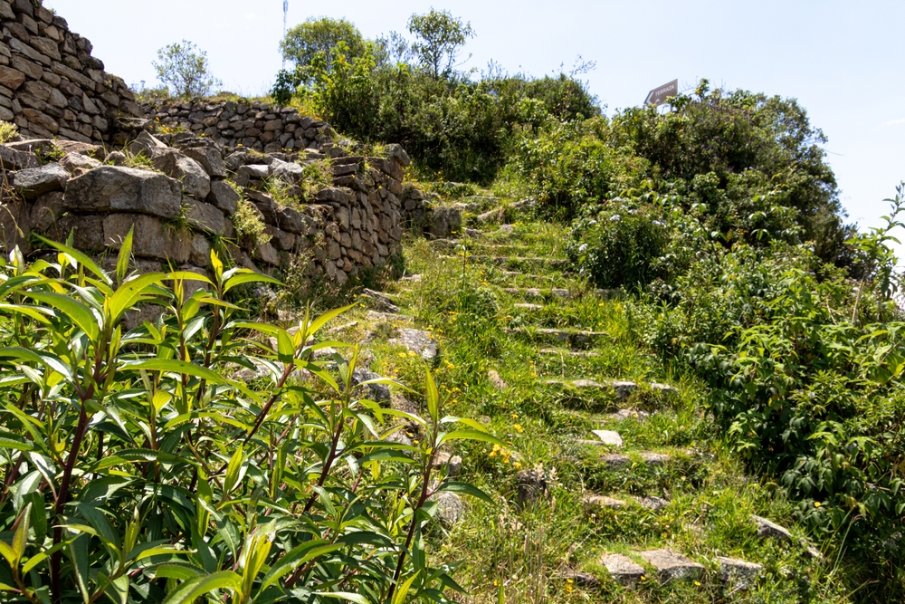 The archeological site Cojitambo dates back to the pre-Inca civilization of the Cañari people, who settled in the area from 500 BCE to 500 CE.