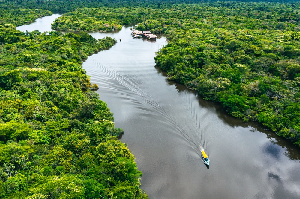 Top View of Amazon Rainforest, near Iquitos, Peru.