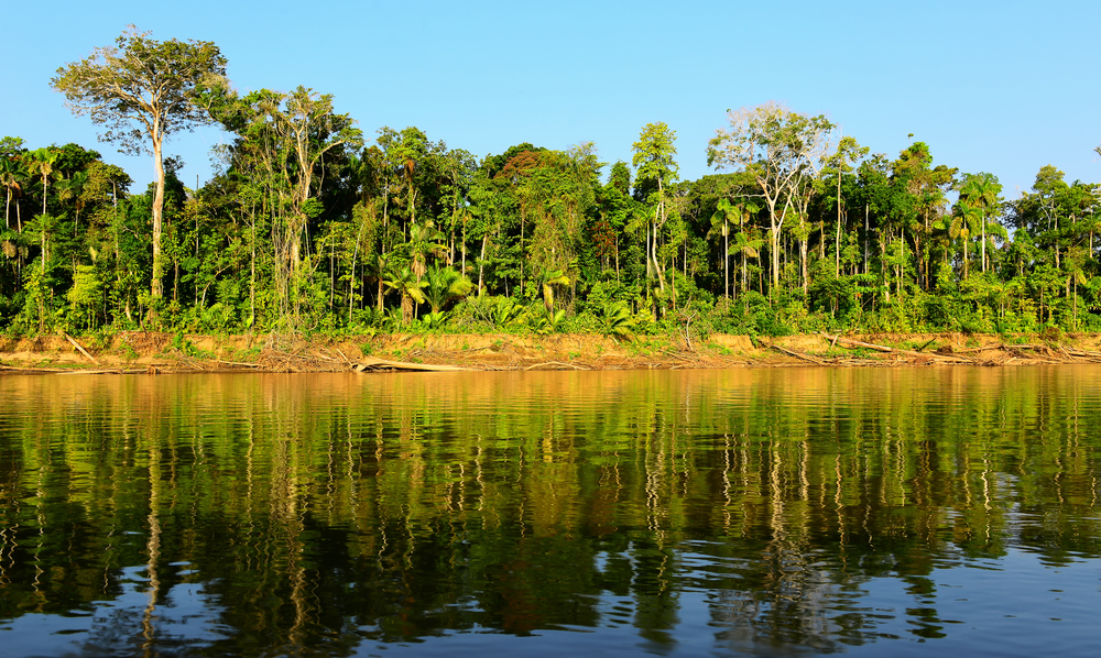 Landscape Photo of Madre de Dios in Selva Peru