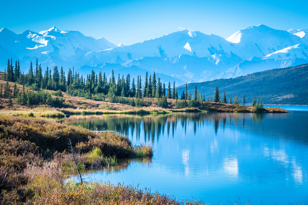 Denali National Park and Wonder lake