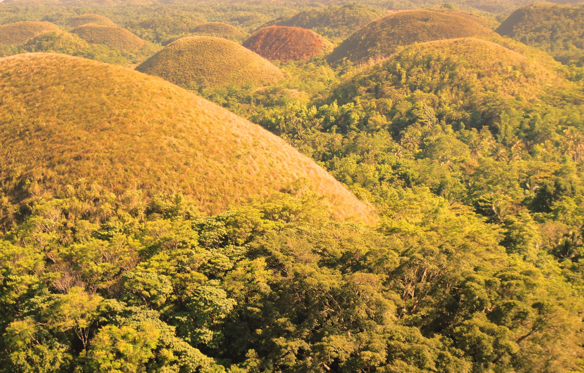 Chocolate hills ,Philippines - 2012