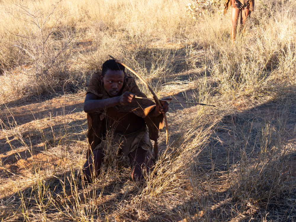 The San People hunting