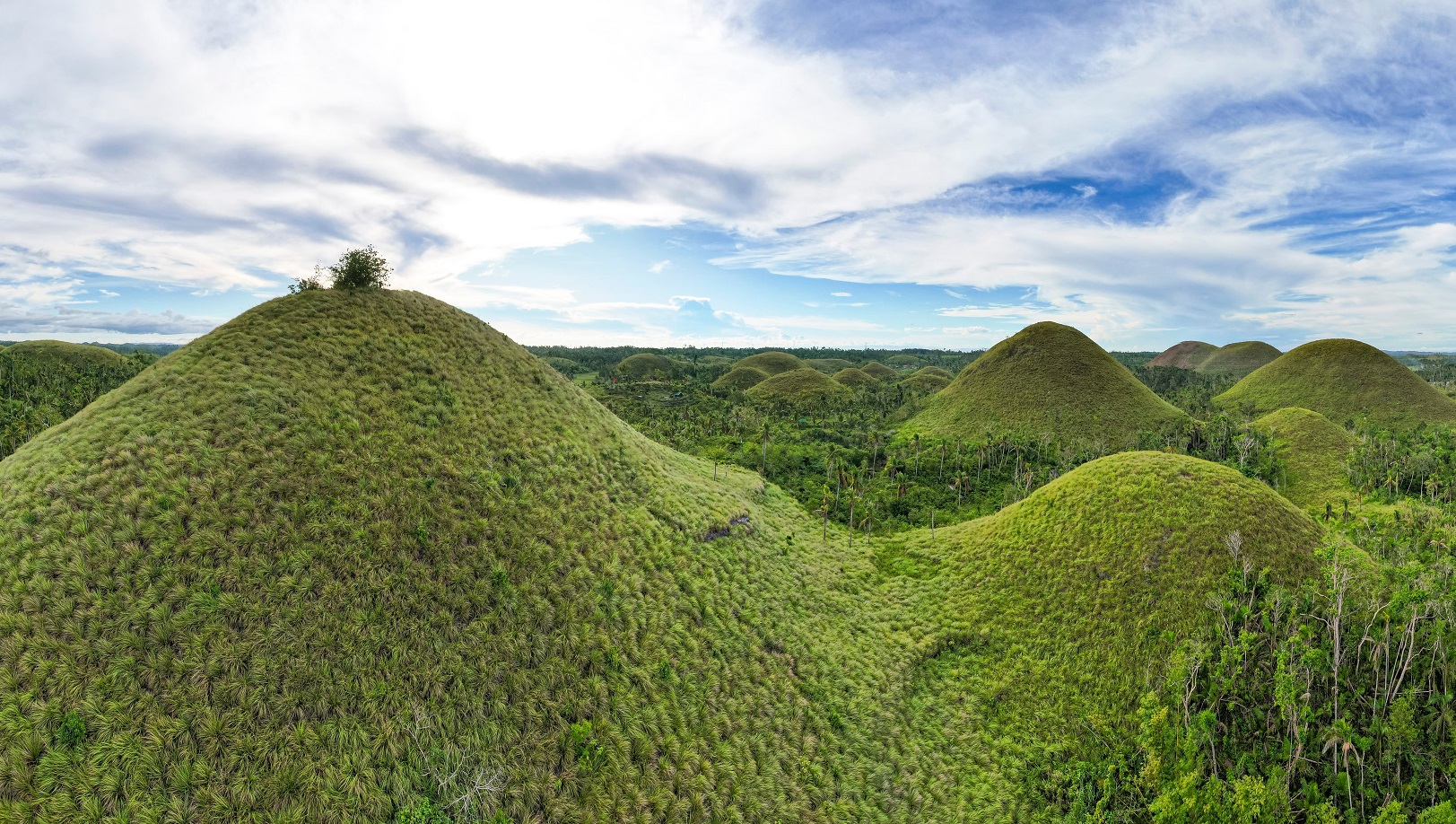 Panoramic view of the Chocolate Hills, a major tourist attraction in the island of Bohol.