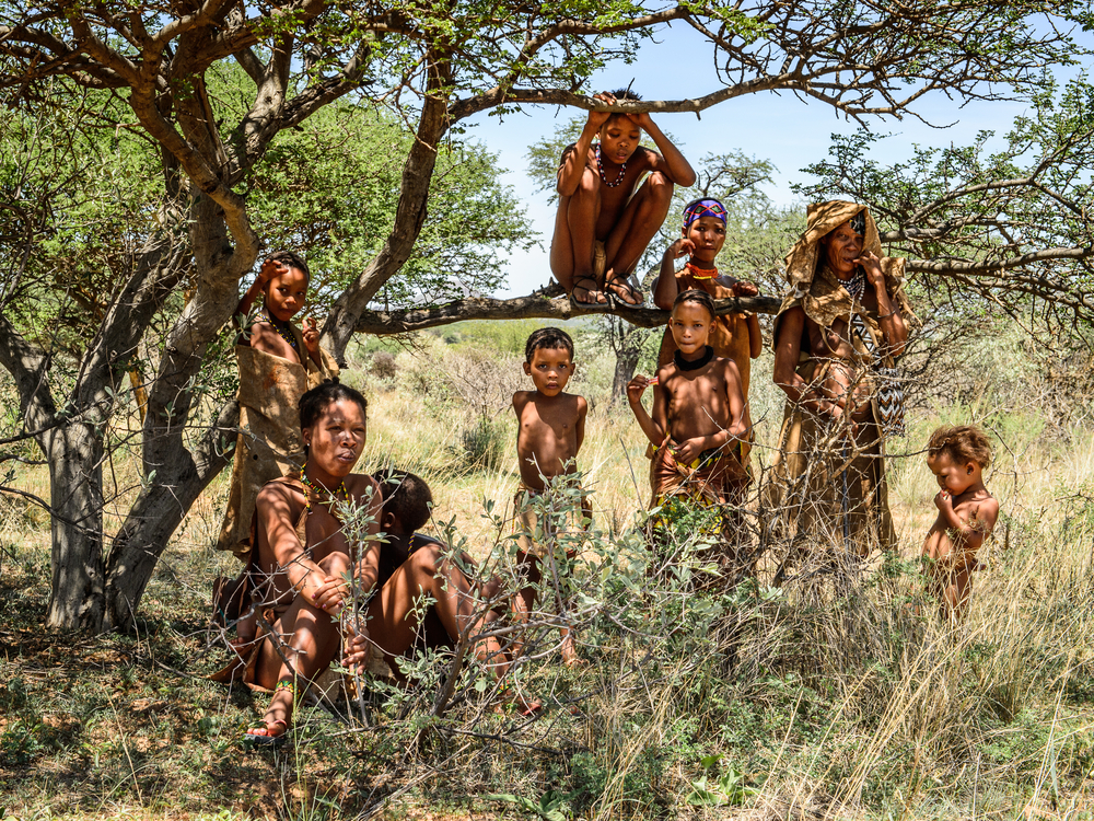 Unidentified bushman family