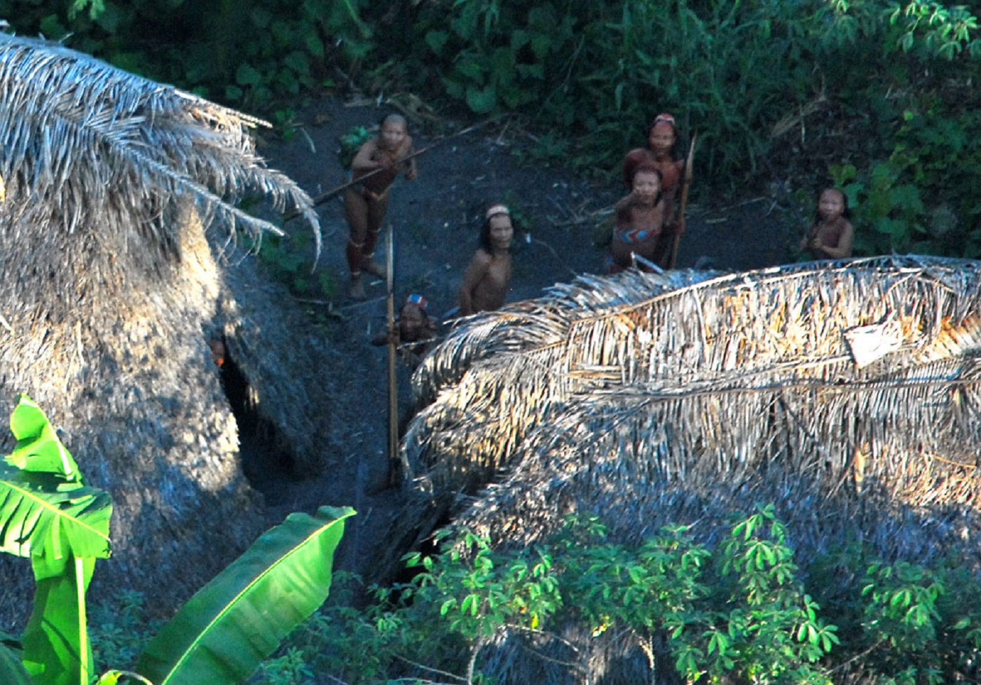 Uncontacted indigenous tribe in the brazilian state of Acre. - 2009