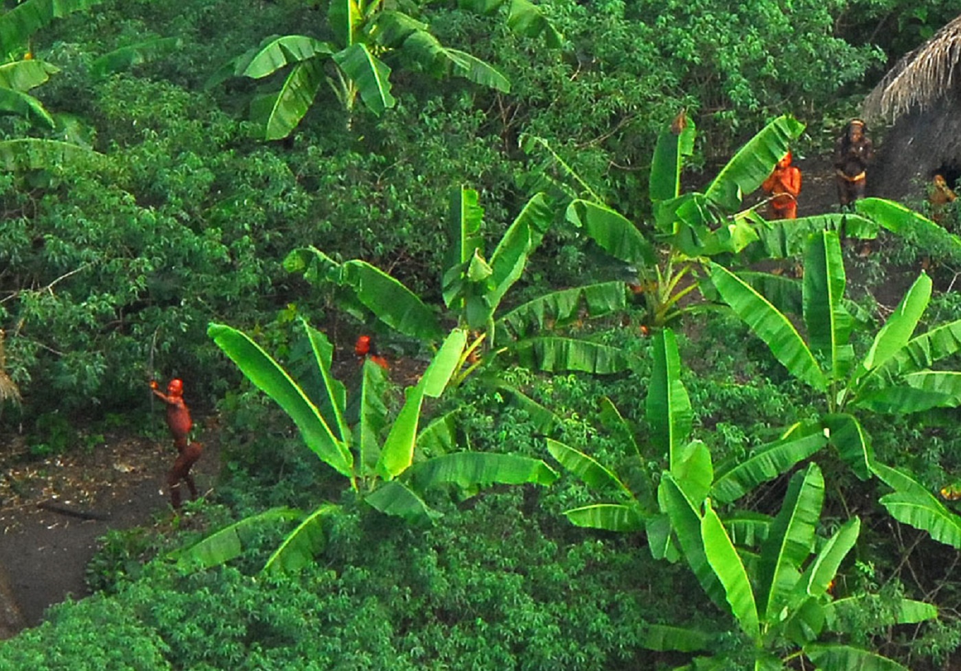Tribe members in the forest - 2009