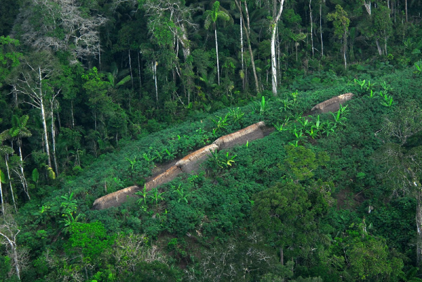 Uncontacted indigenous tribe in the Brazilian state of Acre. - 2009