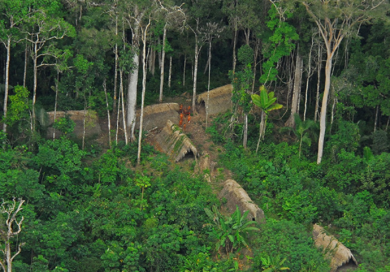 Uncontacted indigenous tribe in the brazilian state of Acre. - 2009