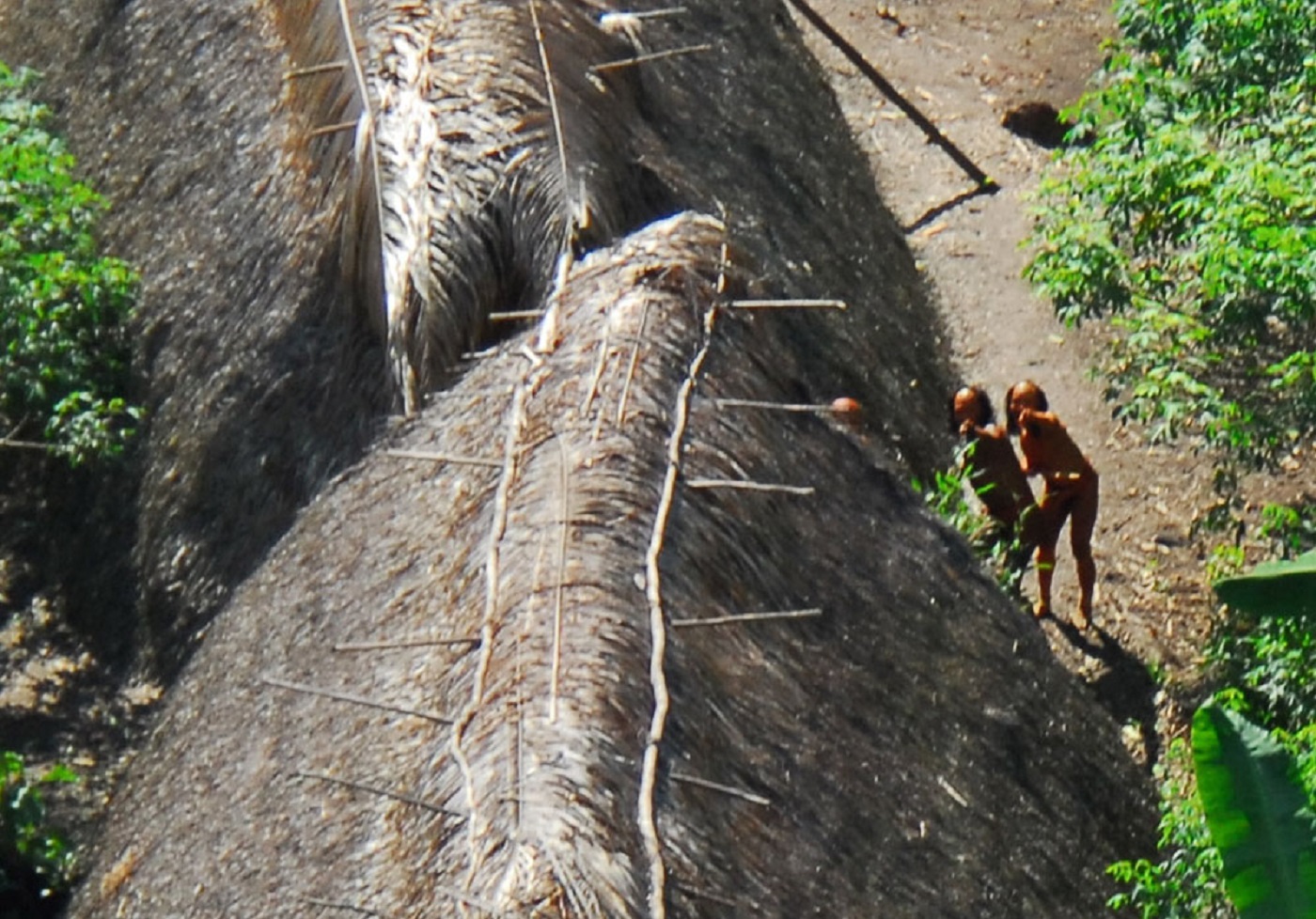 Uncontacted indigenous tribe in the Brazilian state of Acre. - 2009