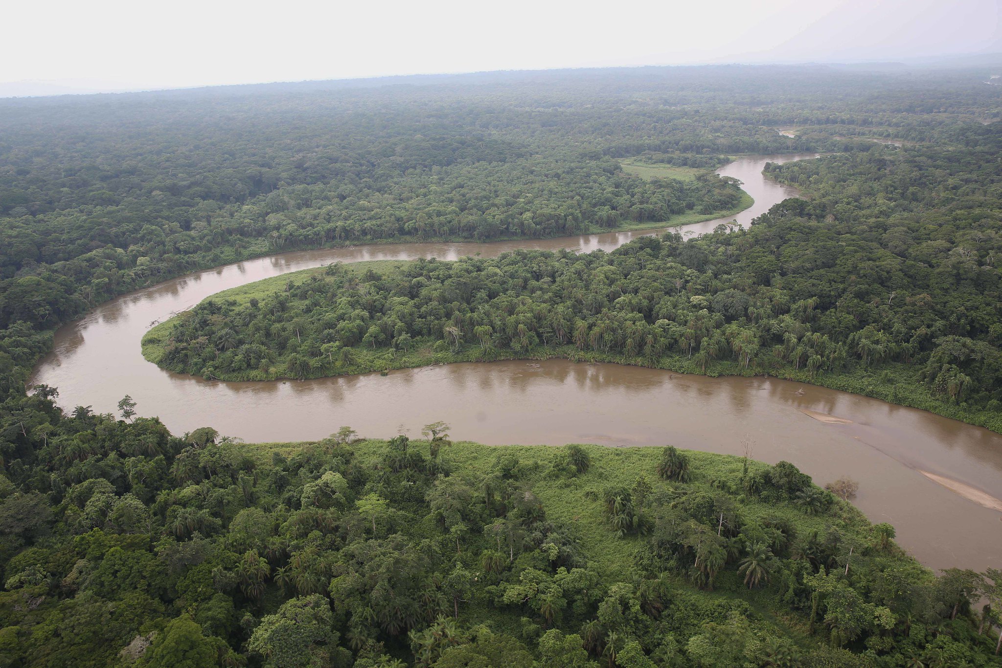 River in rainforest - North Kivu - 2015