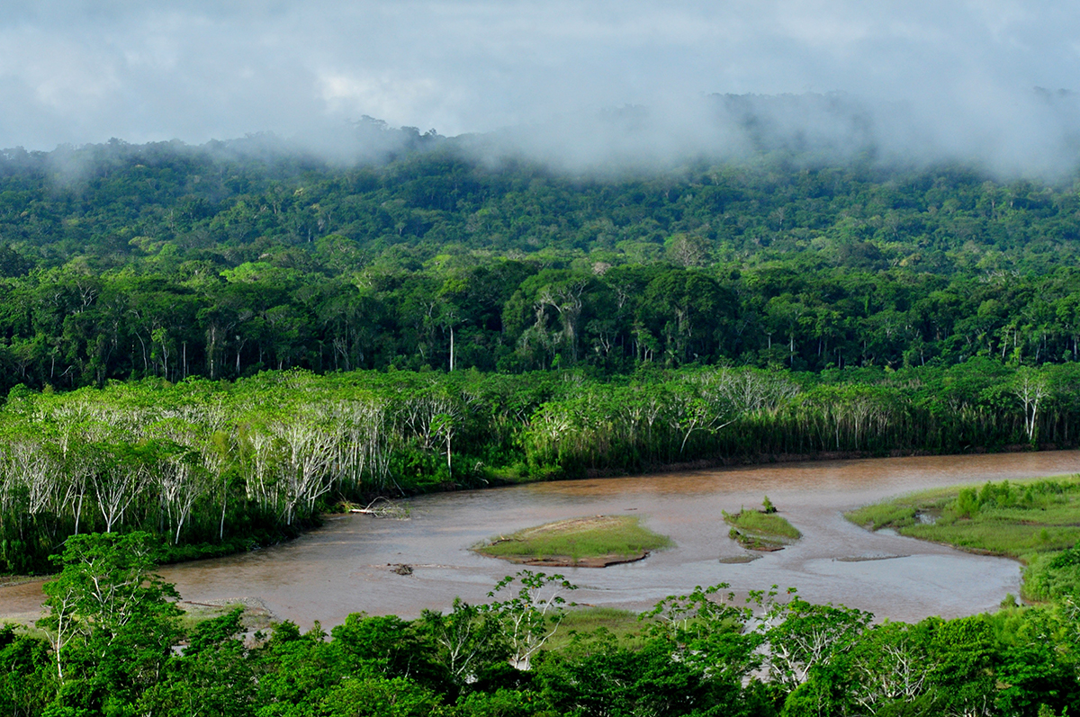 Madidi National park, Amazon Bolivia - 2010