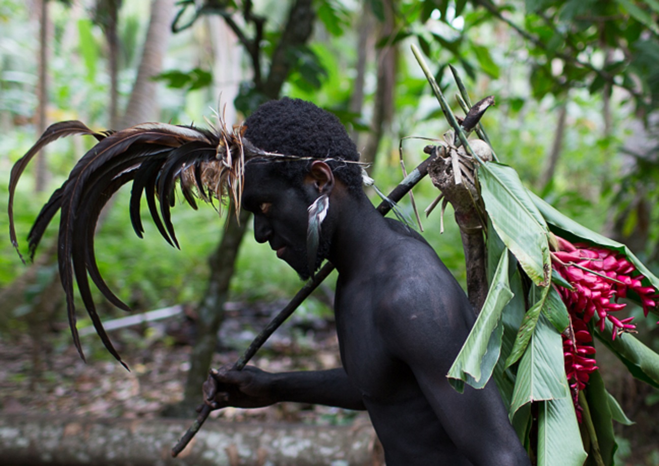 A Dancer Enters The Clearing As Part Of A Kastom Village Tour