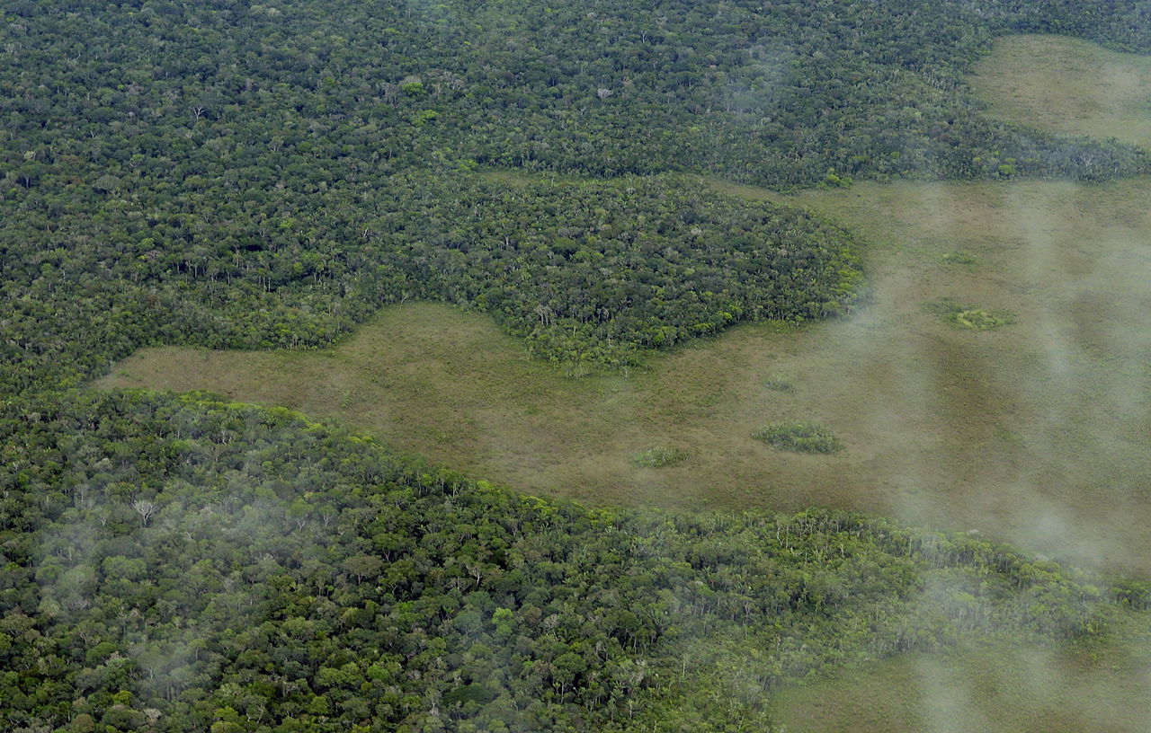 Aerial view of the Amazon Rainforest,Amazon - 2011