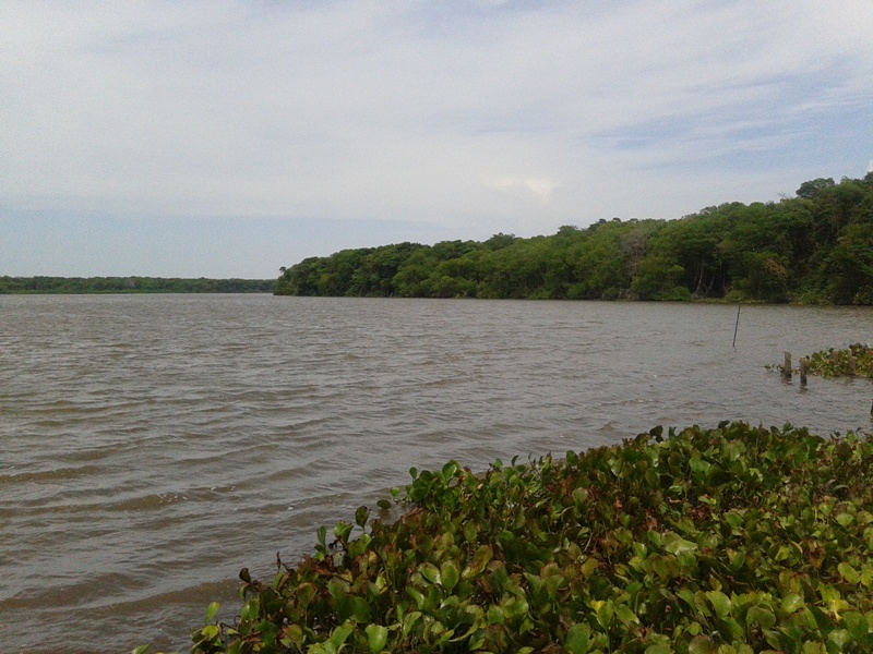 The El Limón River a river in Zulia in northwestern Venezuela.