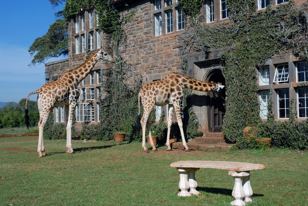 Giraffe Manor in Kenya