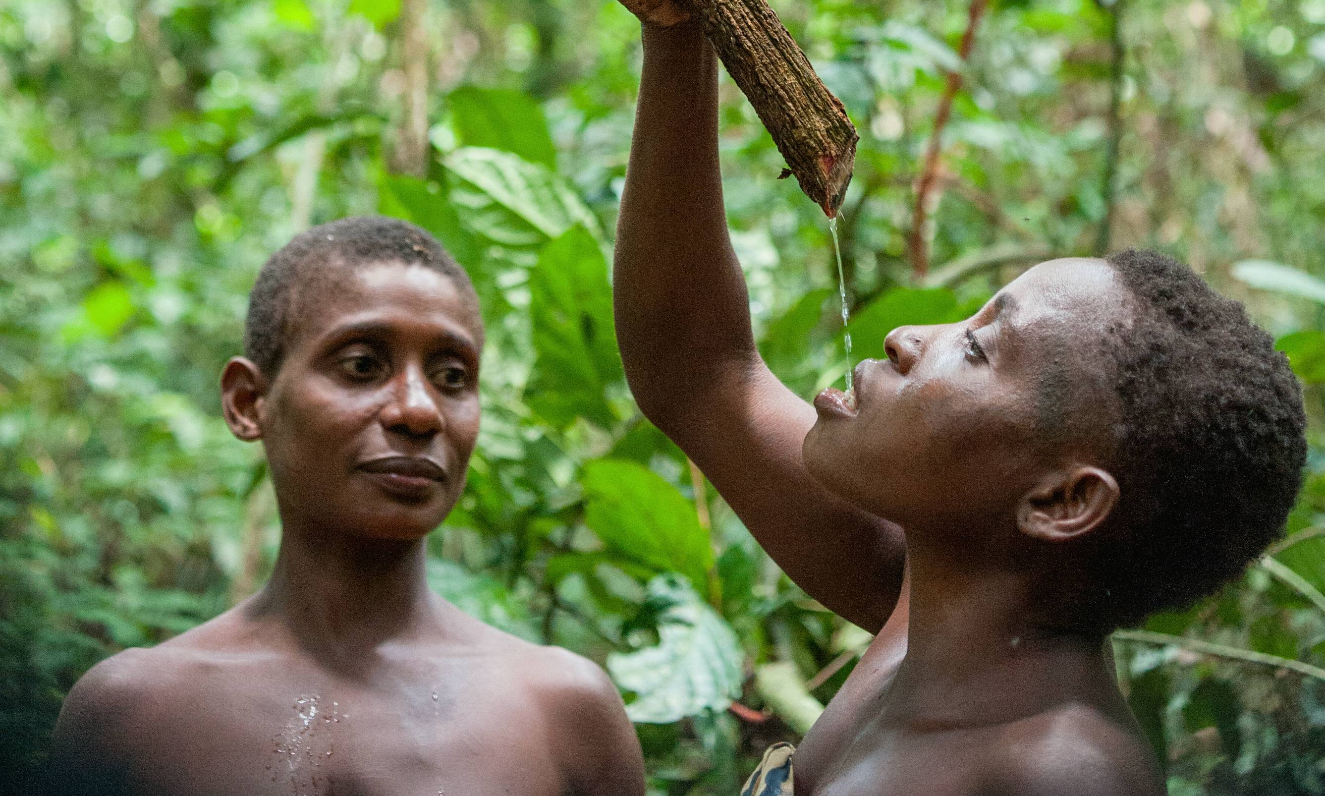 women of baka  pygmies