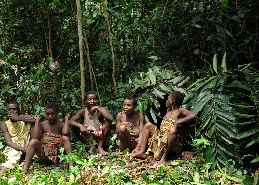 Jungle group Portrait of a women from a Baka tribe