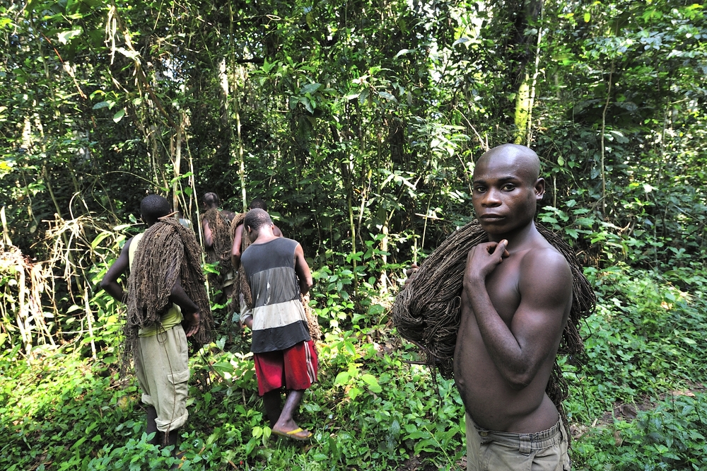The baka people hunting