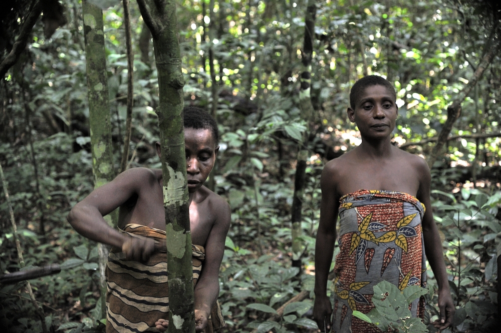 Baka tribe of pygmies