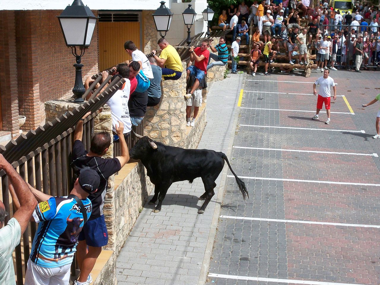 Bulls and people running on the street during the festival