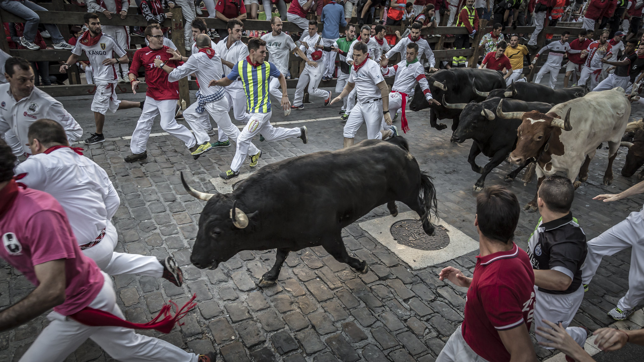 Bulls and people running on the street during the festival of San Fermin - 2017