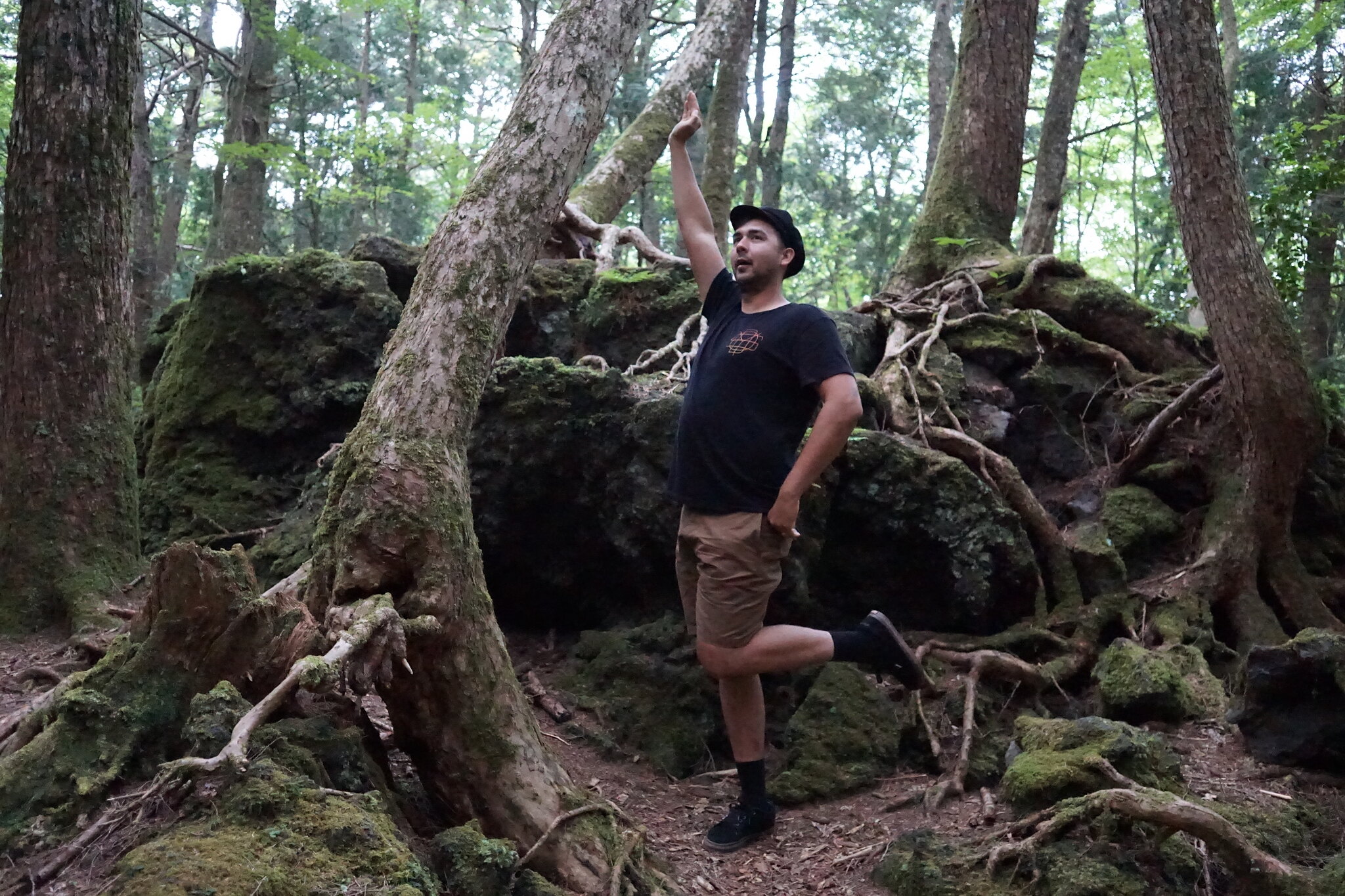 Aokigahara (suicide forest)