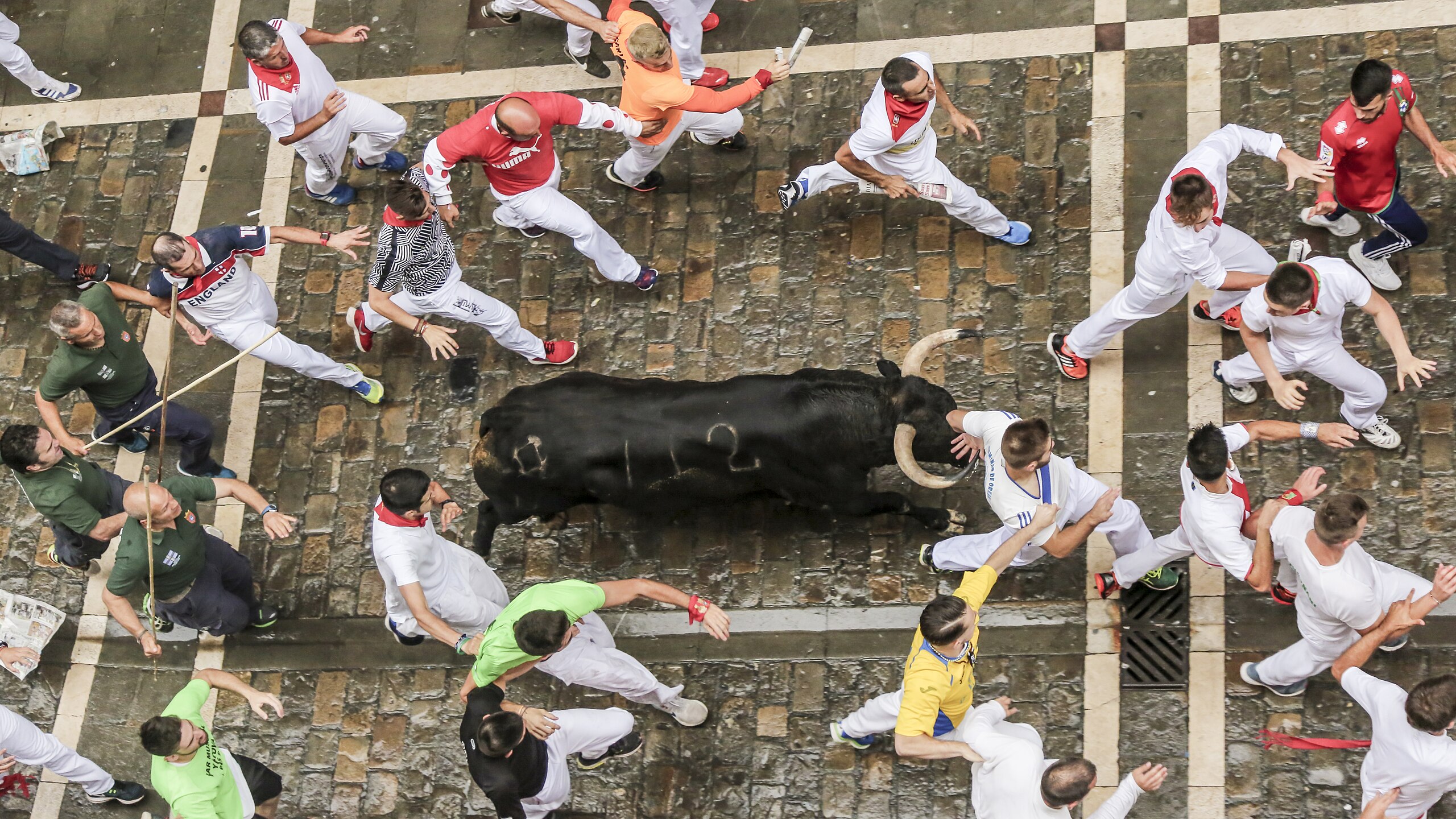 Bulls and people running on the street during the festival of San Fermin - 2018