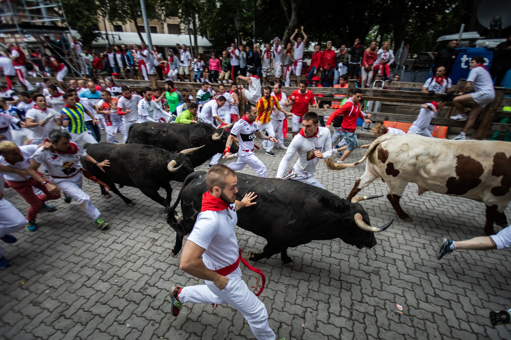 Bulls and people running on the street, encierro, during the festival of San Fermin - 2018