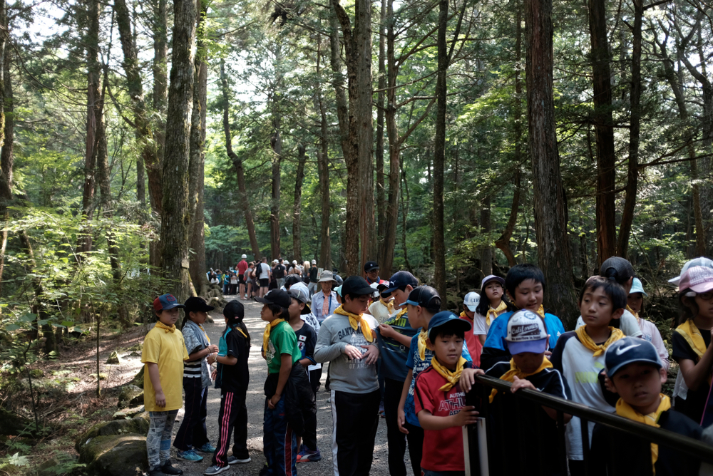 Aokigahara (The Suicide Forest)