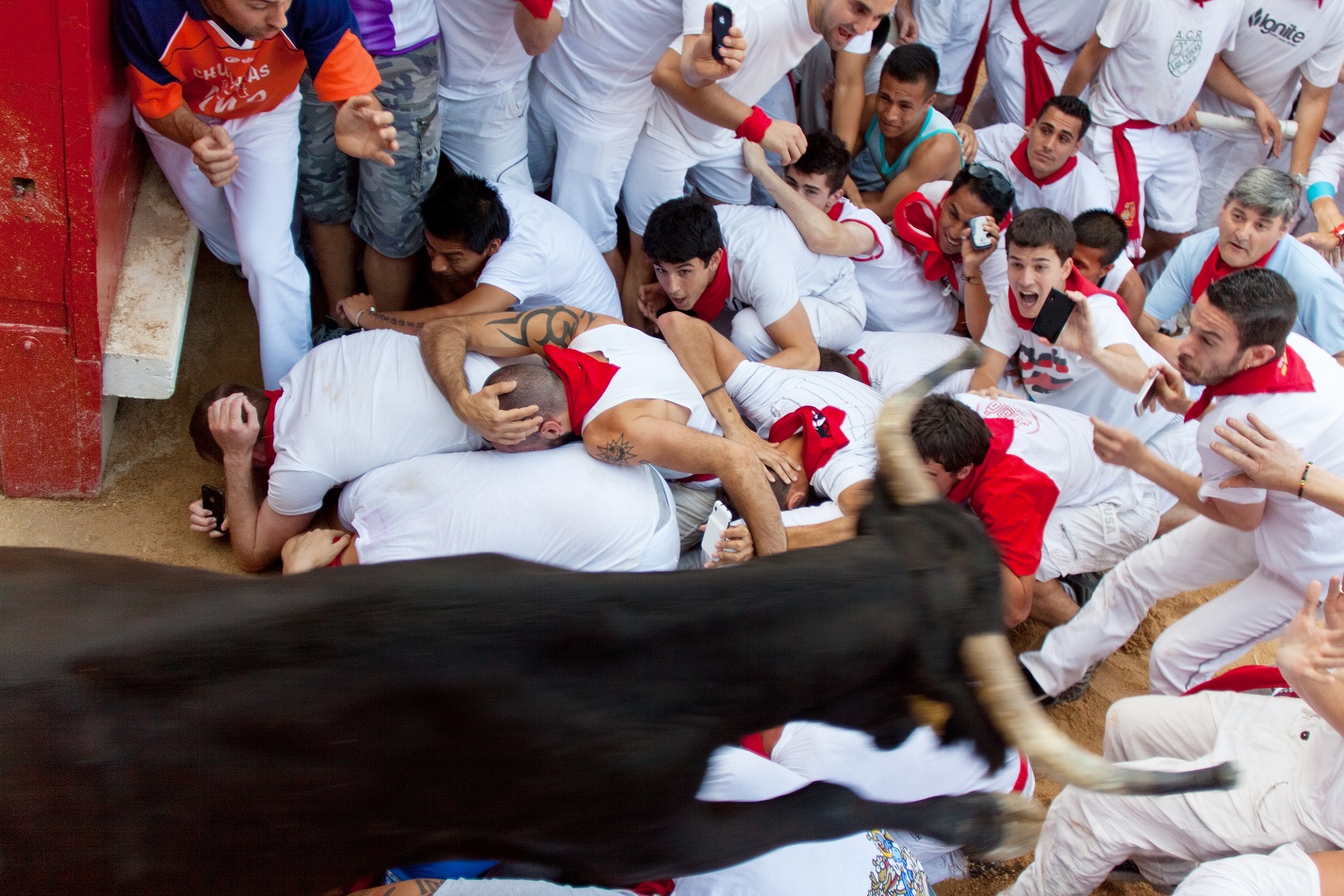 People having fun with young bulls at San Fermin festival. Pamplona, Navarra, Spain 11 July 2013.