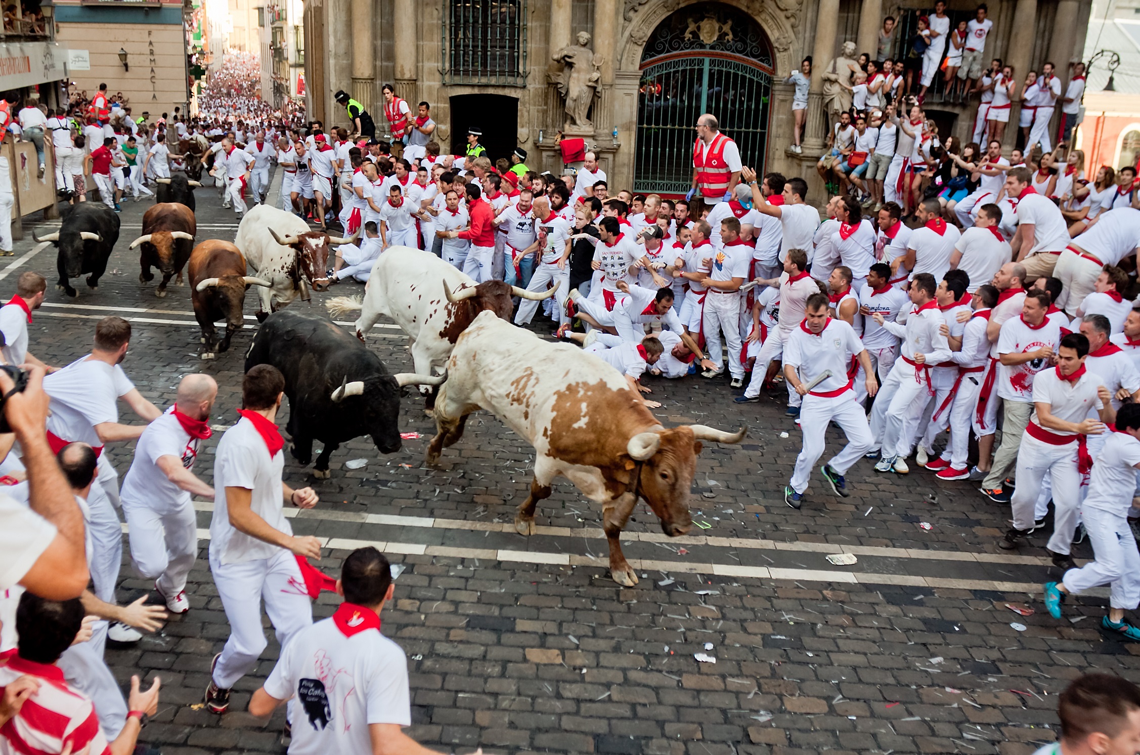 Bulls and people are running in street during San Fermin festival - 2015