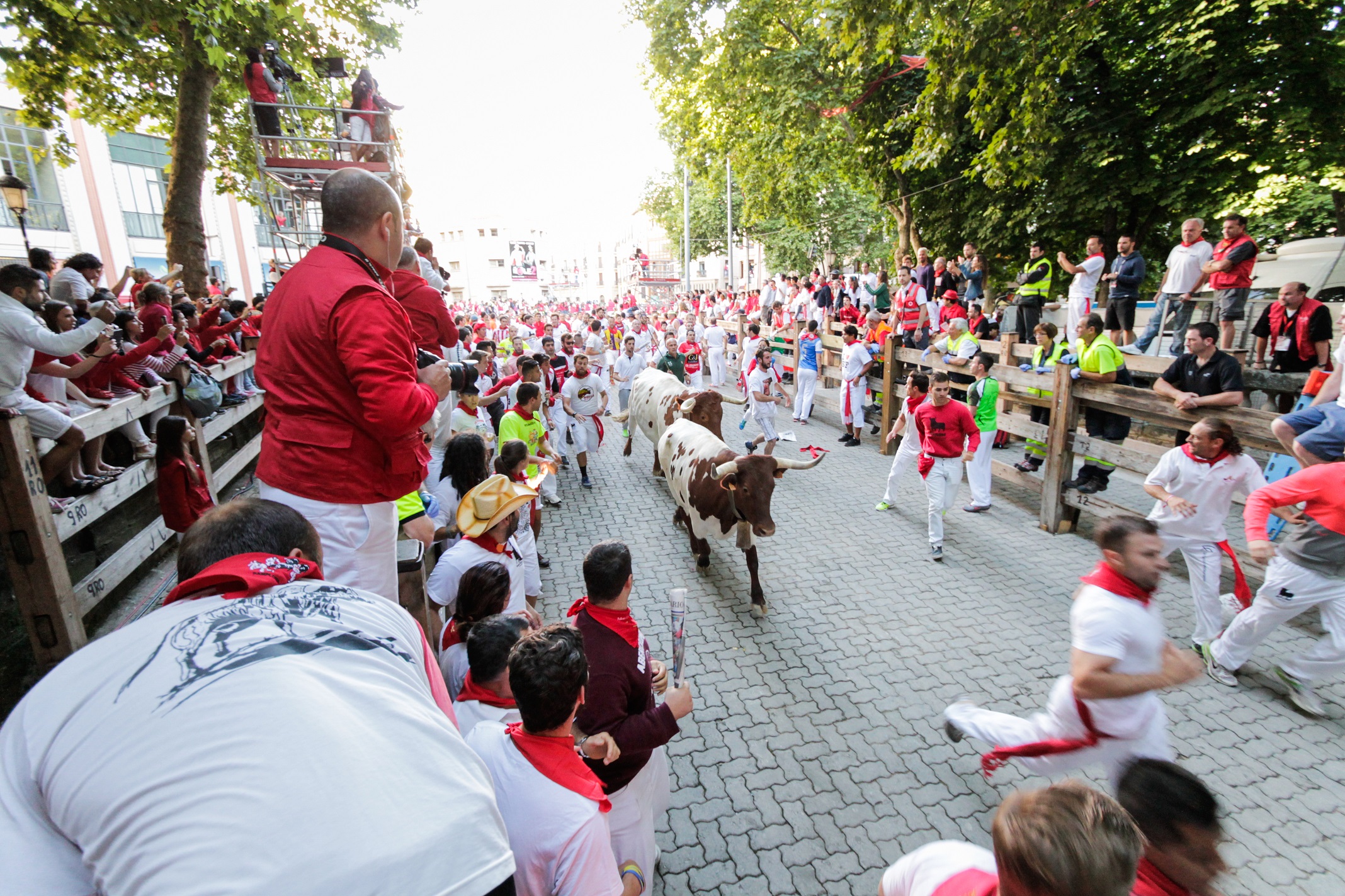 People run from bulls on street during San Fermin festival in Pamplona - 2013