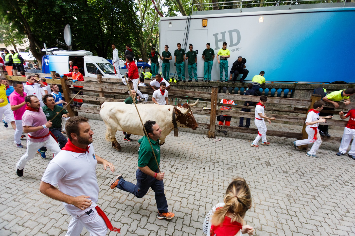 Bulls and people running on the street during the festival of San Fermin - 2017