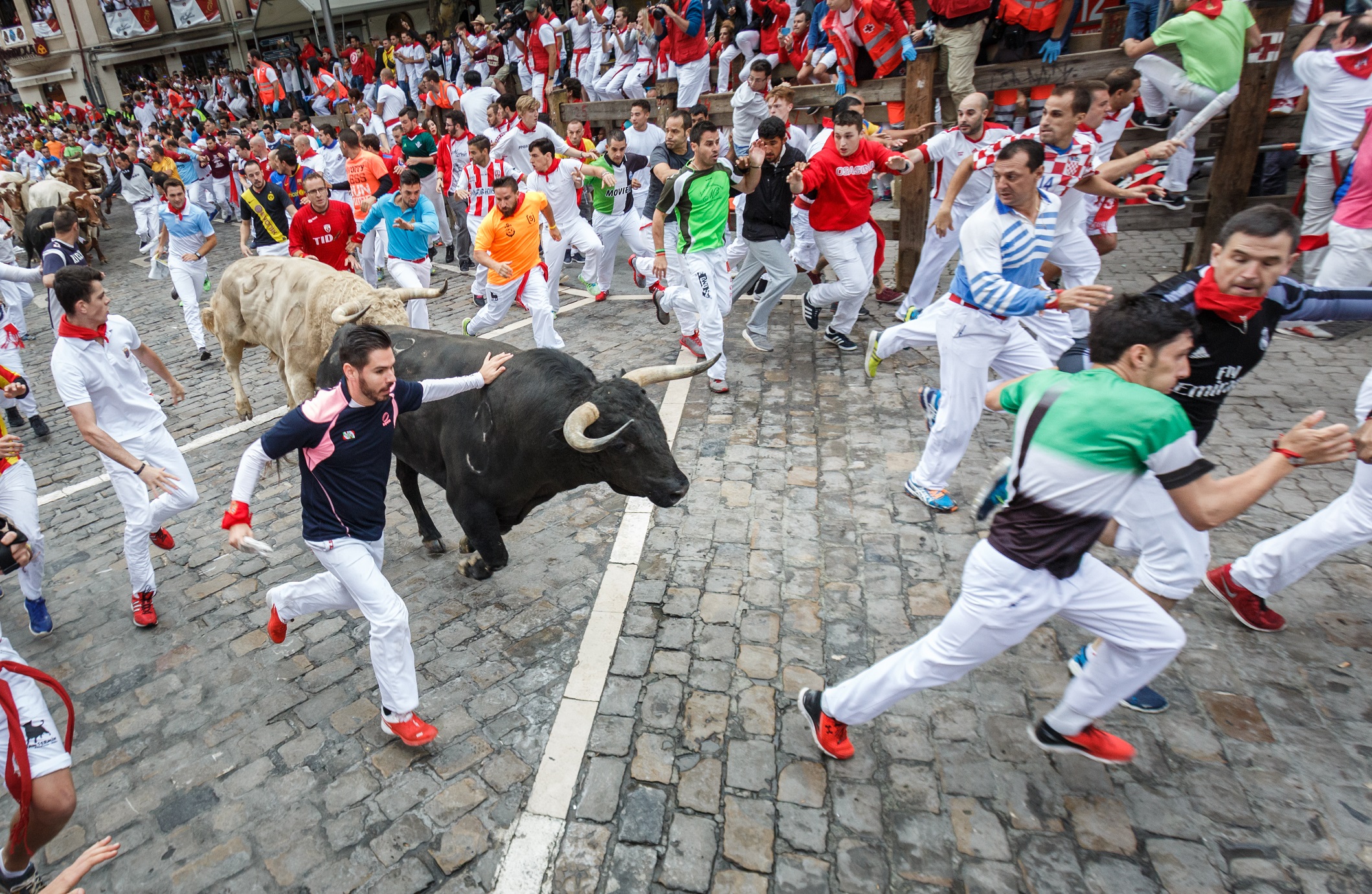 Bulls and people running on the street during the festival of San Fermin - 2017