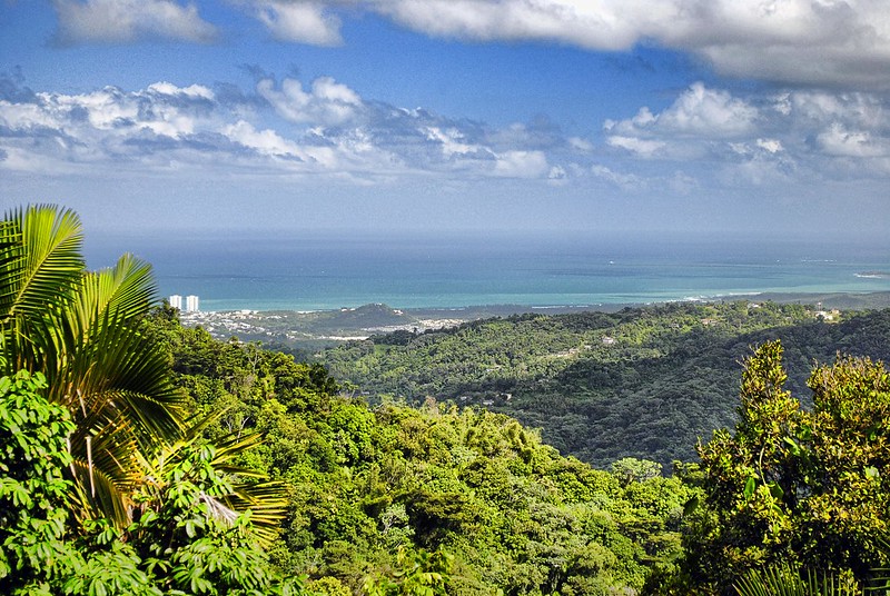 Landscape Photo of Puerto Rico Vista, Looking northeast from El Yunque National Park