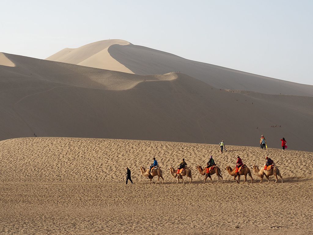 Landscape Photo of people riding camels in Gobi Desert Mongolia