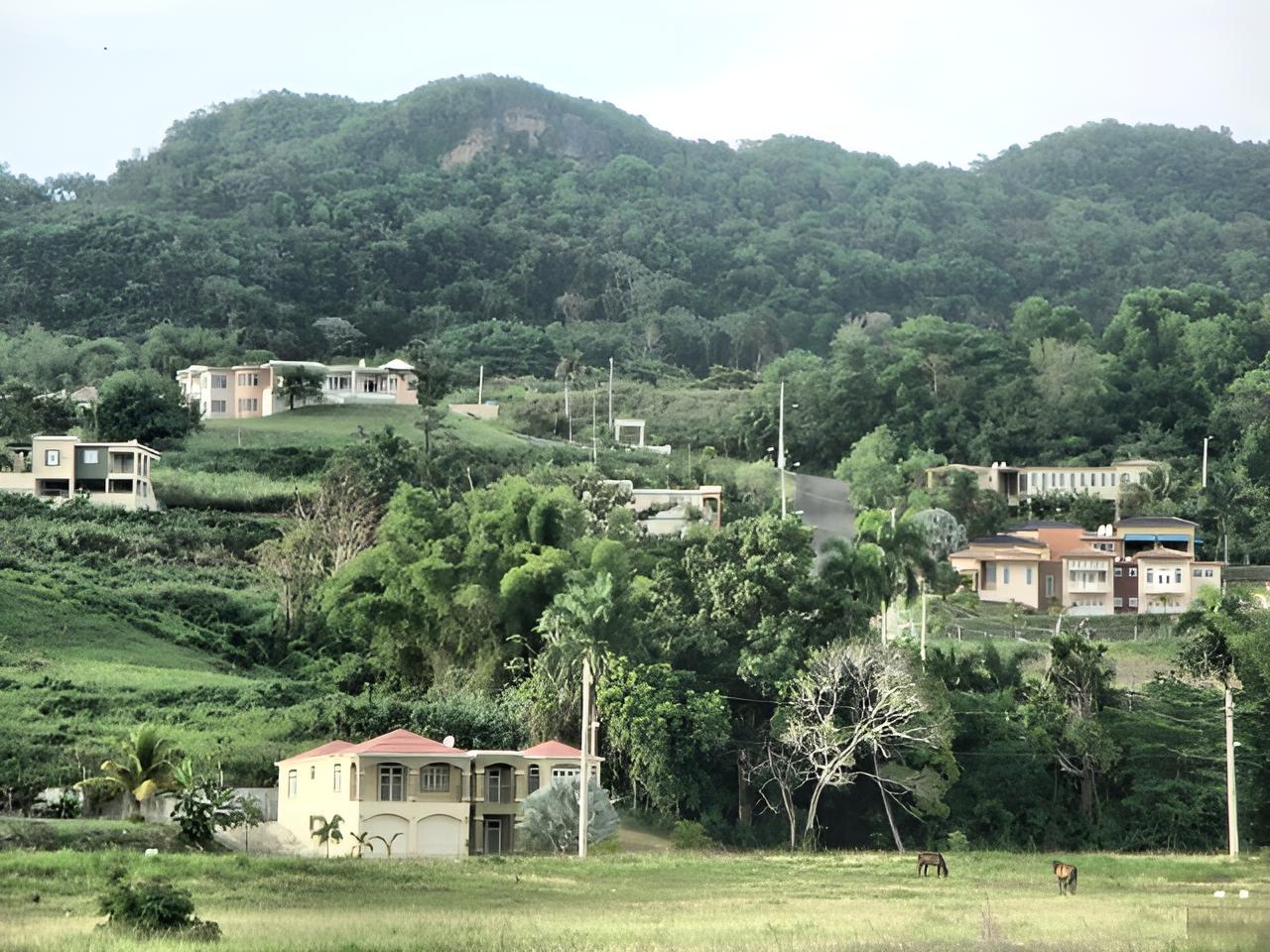 Landscape Photo of Moca, a town and municipality of Puerto Rico