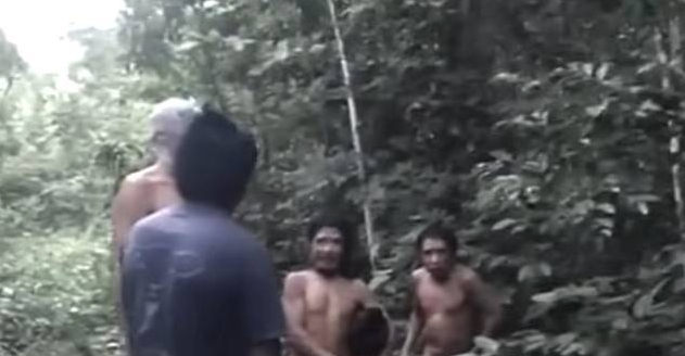 Piripkura people, last survivors