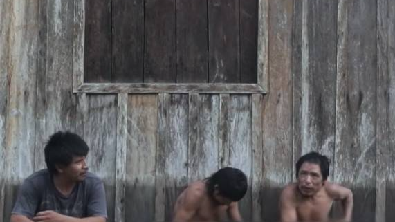 Piripkura people, last survivors