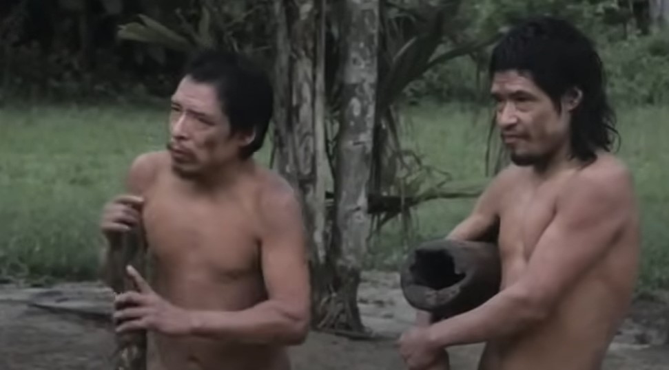 Piripkura people, last survivors