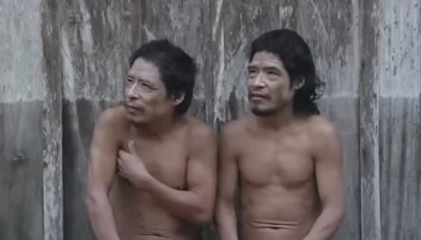 Piripkura people, last survivors