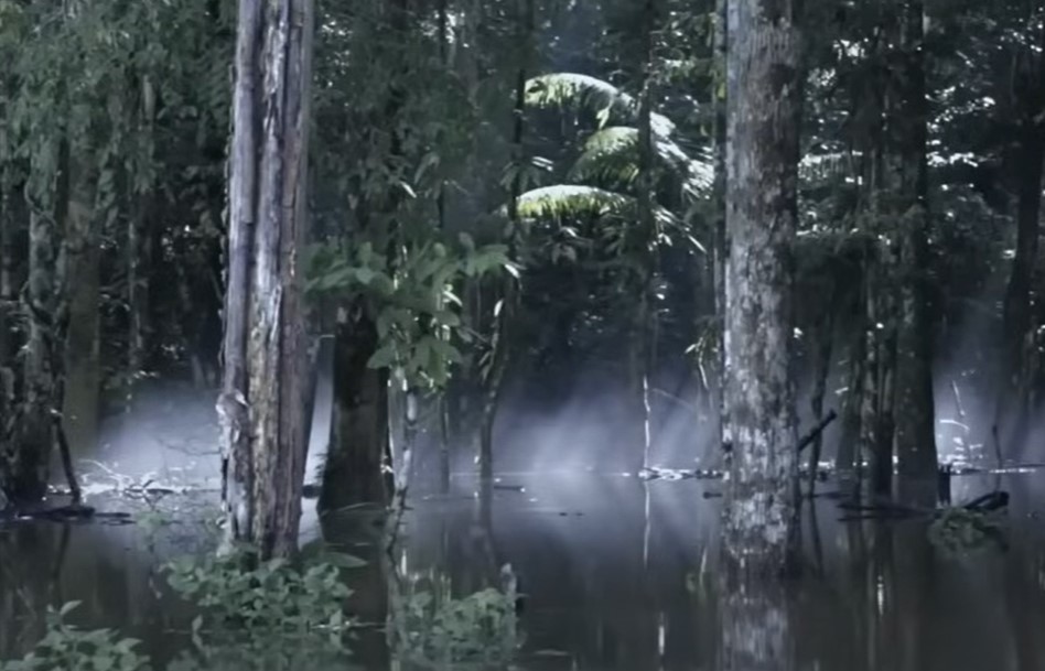 Piripkura people, last survivors, region where they live