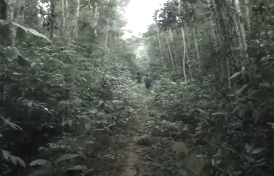 Piripkura people, last survivors