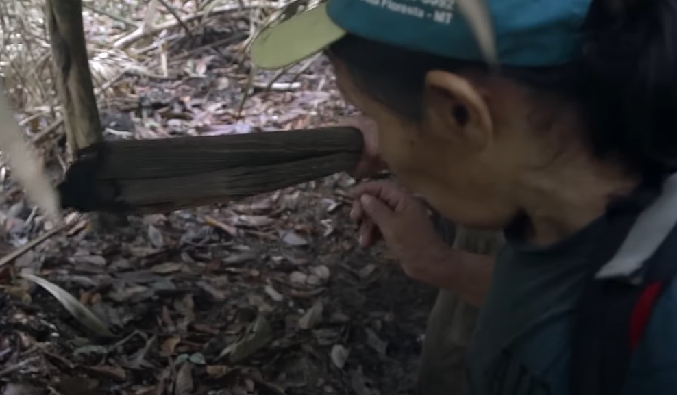 Piripkura people, last survivors, Rita she doesn't live with them