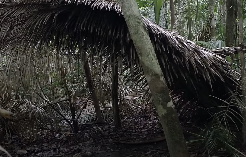 Piripkura house shelter 