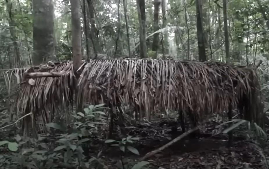 Piripkura house shelter