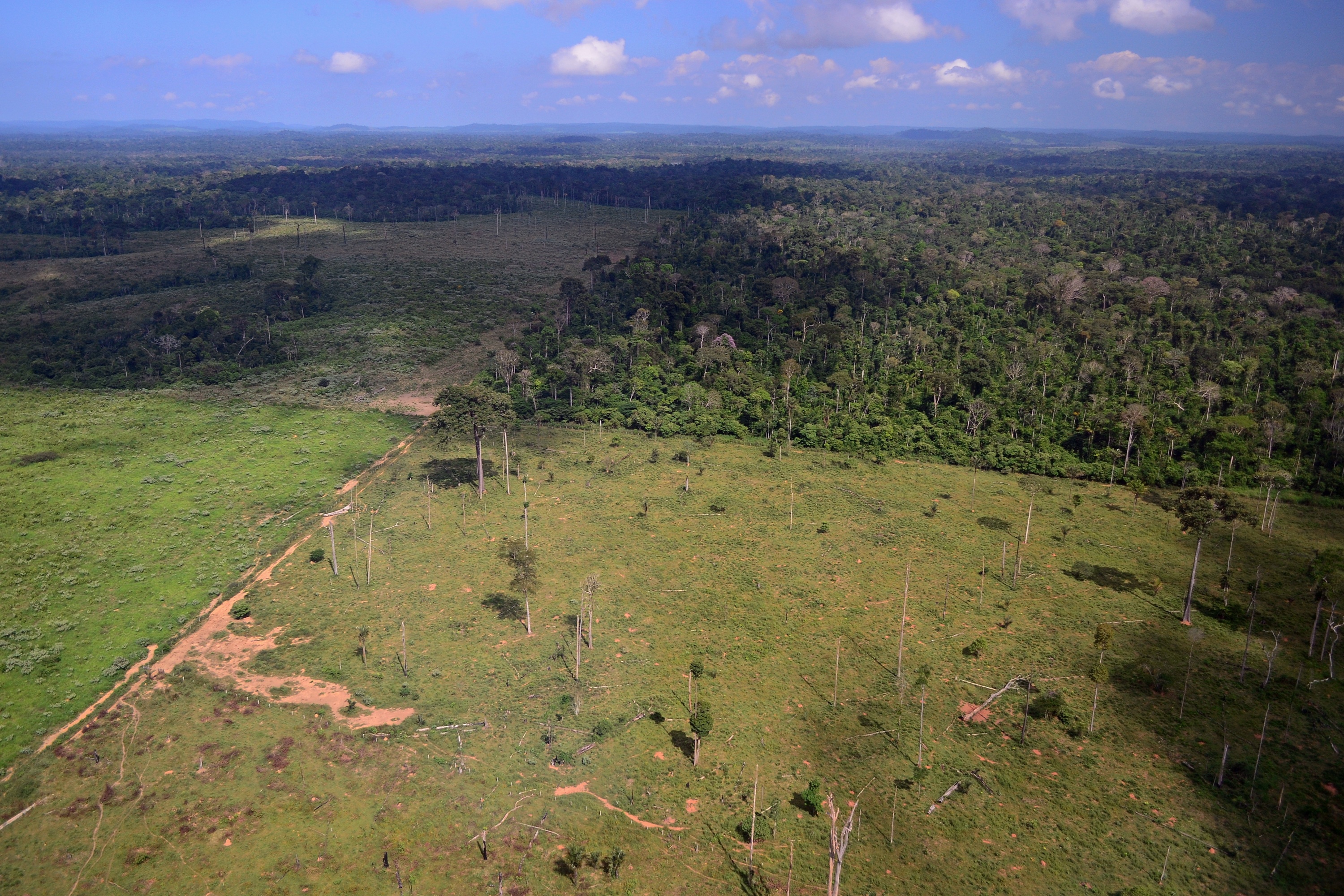 Deforestation in the state of Pará