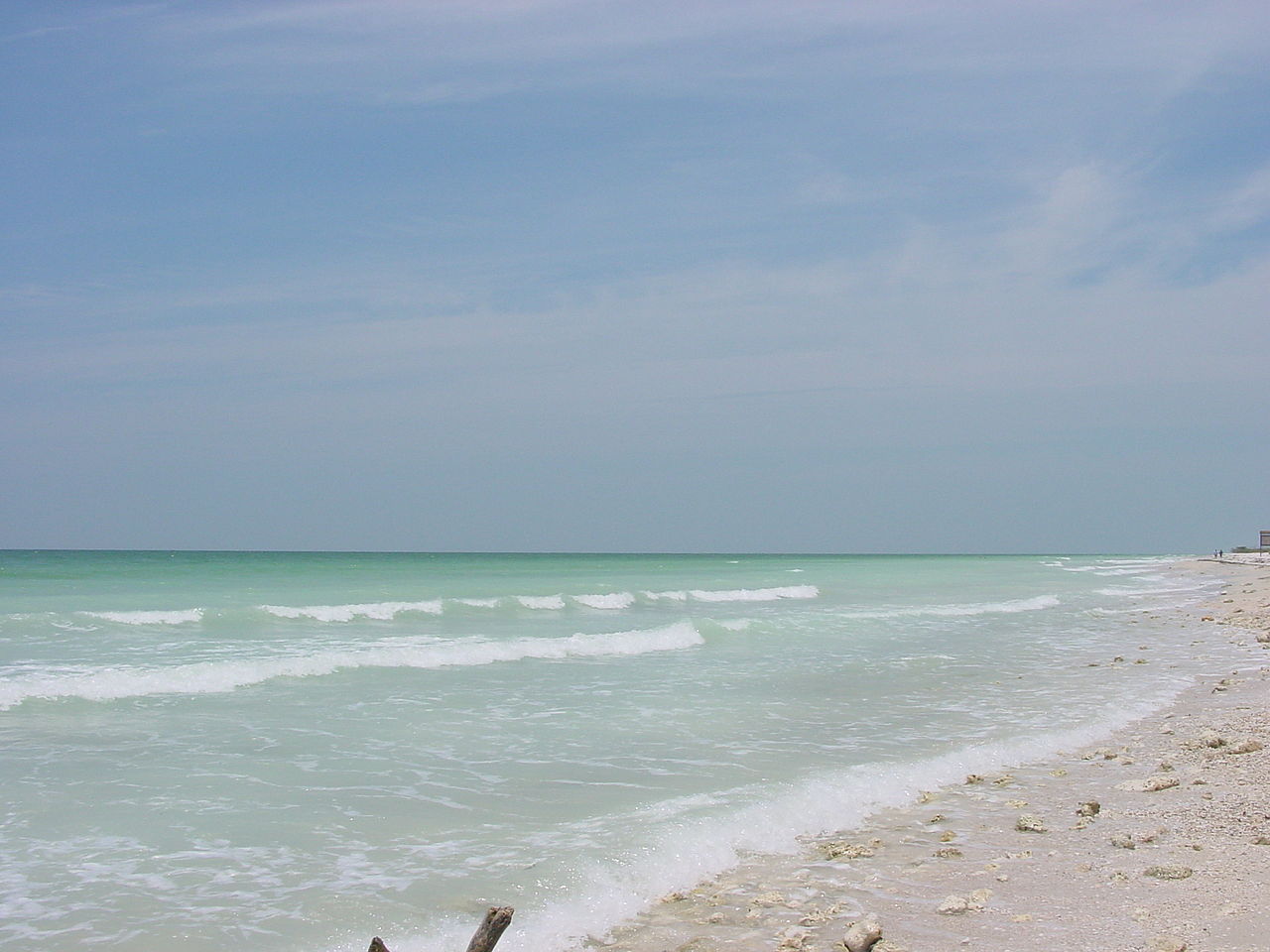 Honeymoon Island State Park - Pinellas County