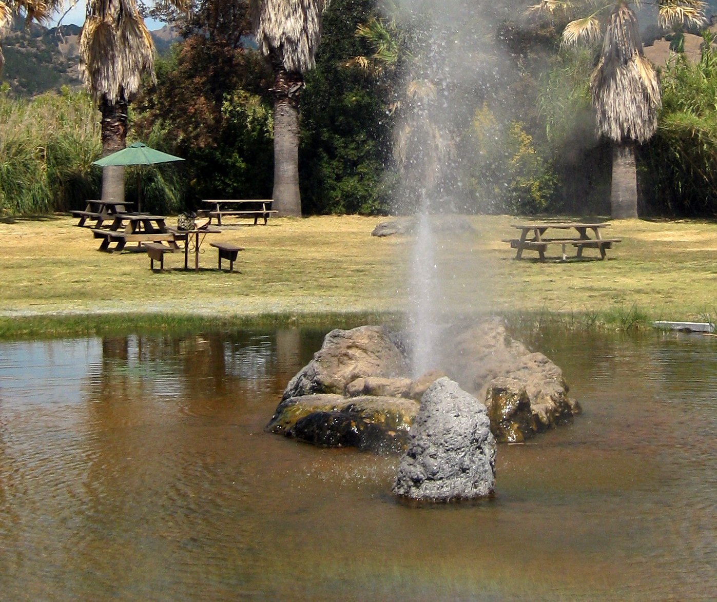 California - Calistoga: Old Faithful Geyser of California.